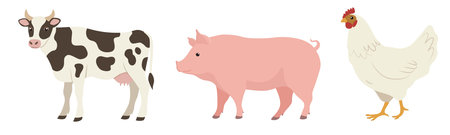 Flat color cow, pig and chicken, side view. Vector illustration isolated on a white backgroundのイラスト素材