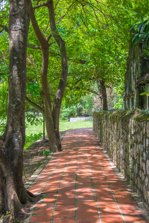 long corridor in gardenの写真素材