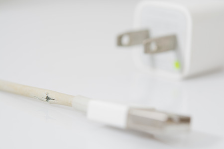 Closeup the Broken Charger Cable on white backgroundの写真素材
