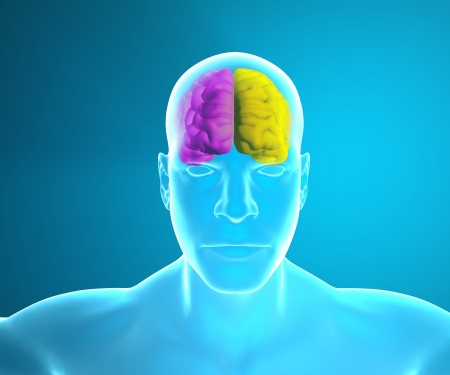 Brain how it worksの写真素材