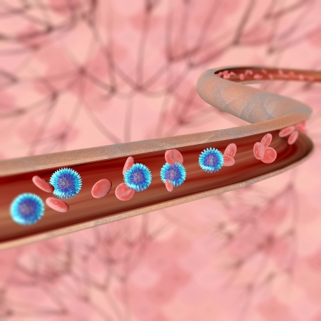 Blood vein with blood cells の写真素材