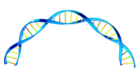 Stranded DNA moleculesの写真素材