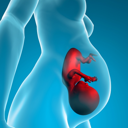 Pregnant woman s womb fetus pregnancy childbirthの写真素材