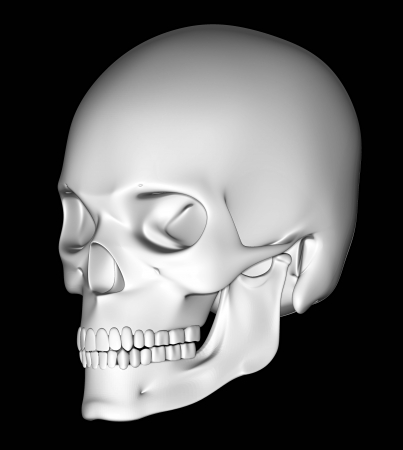 Skull on a black backgroundの写真素材
