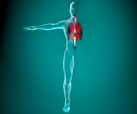 Lungs seen on x-rays in a bodyの写真素材