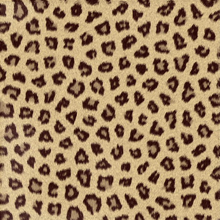 Spotted animal texture leopardの写真素材
