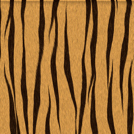 Spotted animal texture tigerの写真素材