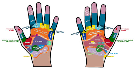 Reflexology handheld, hands, palms, health, massage のイラスト素材