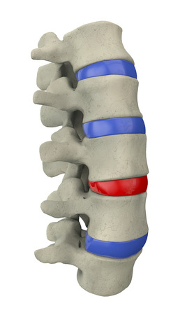 3d illustration of part of human spineの写真素材