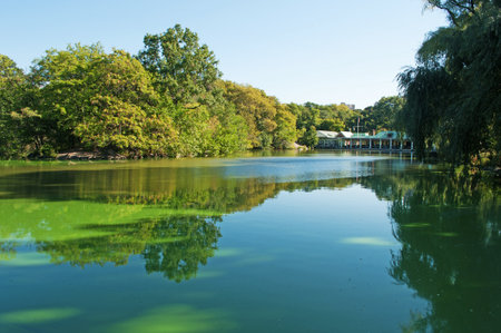 Pond in Central Park, lake, green lung, trees, New York Cityのeditorial素材