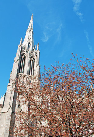Trinity Church and a tree, Wall Street, in the financial district of New York Cityのeditorial素材