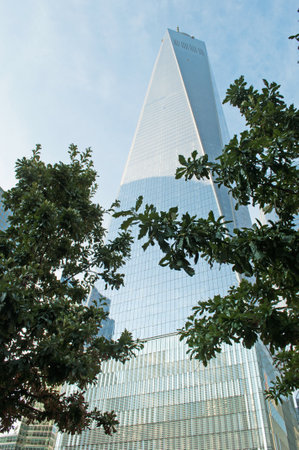Freedom Tower, One World Trade Center, symbol, terrorism, trees, New York