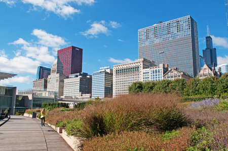 Millennium Park, skyline, skyscrapers, Willis Tower, Sears Tower, Chicagoのeditorial素材