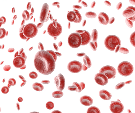 Red blood cell, erythrocyte cell, red blood cell flowの写真素材