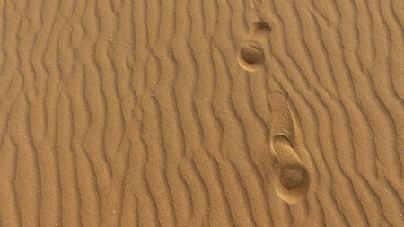 Footprints on sand dune, grains of sand, Corralejo, natural park. Fuerteventura. Canary Islands,...