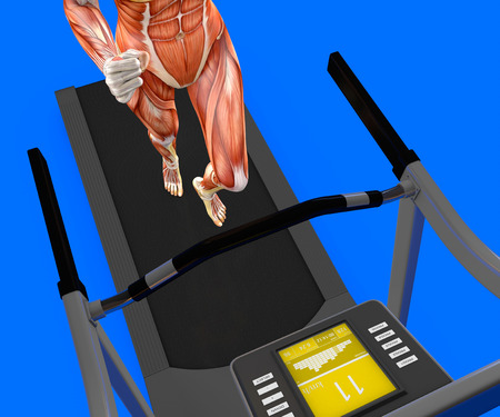 Human body, woman running, muscular system, treadmill, gym, gymnastics, 3d renderingの写真素材