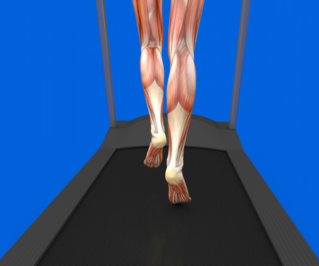 human body, woman running, muscular system, treadmill, gym, gymnastics, 3d renderingの写真素材