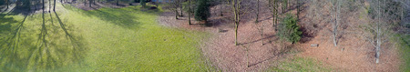 Aerial view of a park, grass, leaves and trees in winterの写真素材