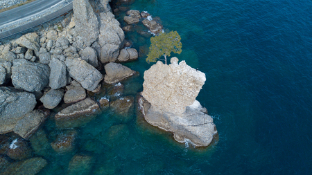 The Rock of Cadrega, maritime pine tree, aerial view, waterfront between Santa Margherita Ligure and Portofino, Paraggi, Liguria, Italyの写真素材