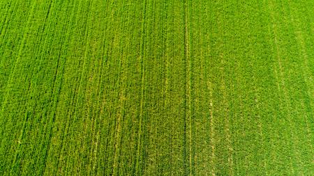 Nature and landscape, Aerial view of a field cultivation at countrysideの写真素材
