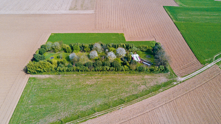 Nature and landscape: Aerial view of a field, cultivation, green grass, countryside, farming, dirt roadの写真素材