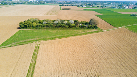Nature and landscape, Aerial view of a field cultivation at countrysideの写真素材