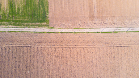 Nature and landscape: Aerial view of a field, cultivation, green grass, countryside, farming, dirt roadの写真素材