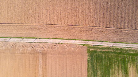 Nature and landscape: Aerial view of a field, cultivation, green grass, countryside, farming, dirt roadの写真素材