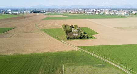 Nature and landscape: Aerial view of a field and trees, cultivation, green grass, countryside, farming, dirt roadの写真素材