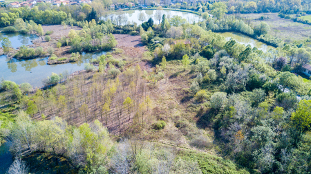 Nature and landscape: Aerial view of a forest and lakes, and green trees in a wilderness landscapeの写真素材