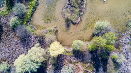 Nature and landscape: Aerial view of a forest and lakes, and green trees in a wilderness landscapeの写真素材