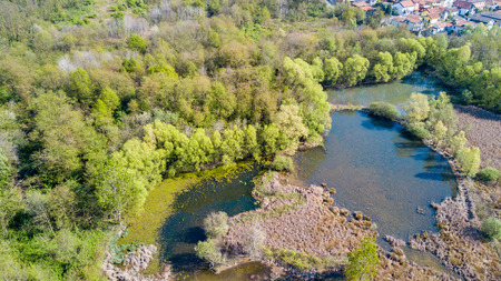 Nature and landscape: Aerial view of a forest and lakes, and green trees in a wilderness landscapeの写真素材