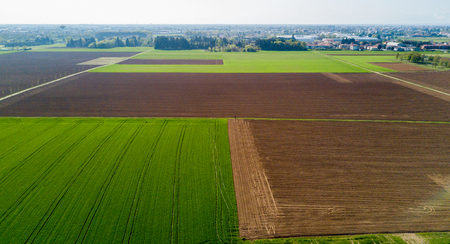 Nature and landscape: Aerial view of a field, cultivation, green grass, countryside, farming, dirt roadの写真素材