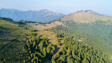Aerial view of a path leading to Monte Boletto, Alps, near Lake Como. Como, Brunate, Lombardy, Italyの写真素材