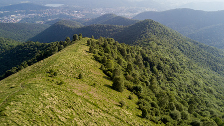 Aerial view of a path leading to Monte Boletto, Alps, near Lake Como. Como, Brunate, Lombardy, Italyの写真素材