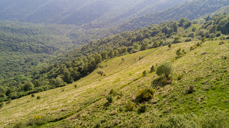 Aerial view of a path leading to Monte Boletto, Alps, near Lake Como. Como, Brunate, Lombardy, Italyの写真素材