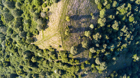 Aerial view of a path leading to Monte Boletto, Alps, near Lake Como. Como, Brunate, Lombardy, Italy. Day of fog. Shed on the topの写真素材