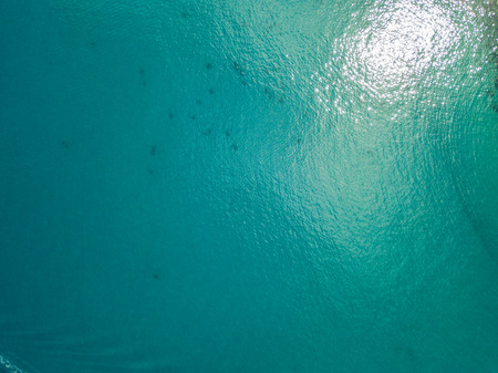 Aerial view of the rocks on the sea. Overview of the seabed seen from above, transparent waterの写真素材