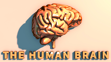 Brain degenerative diseases, Parkinson, synapses, neurons, Alzheimer's, 3d renderingの写真素材
