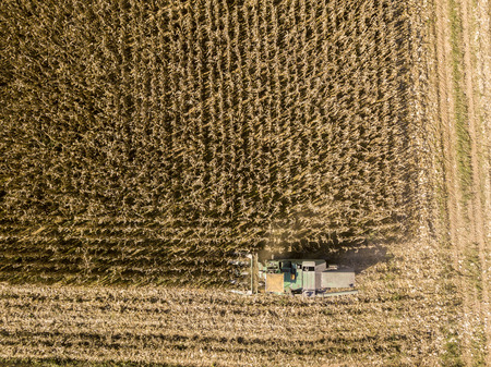 Combine harvesting seed from fields, aerial view of a field with a combine harvester with cornhusker gathering the crop. Agriculture and cultivation, cuttings, corn threshing, fields in the countrysideの写真素材