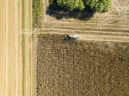 Combine harvesting seed from fields, aerial view of a field with a combine harvester with cornhusker gathering the crop. Agriculture and cultivation, cuttings, corn threshing, fields in the countrysideの写真素材