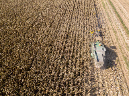Combine harvesting seed from fields, aerial view of a field with a combine harvester with cornhusker gathering the crop. Agriculture and cultivation, cuttings, corn threshing, fields in the countrysideの写真素材