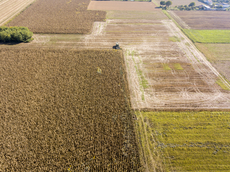 Combine harvesting seed from fields, aerial view of a field with a combine harvester with cornhusker gathering the crop. Agriculture and cultivation, cuttings, corn threshing, fields in the countrysideの写真素材