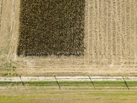 Nature and landscape: Aerial view of a field, cultivation, plowed field, countryside, farmingの写真素材