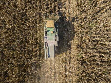 Combine harvesting seed from fields, aerial view of a field with a combine harvester with cornhusker gathering the crop. Agriculture and cultivation, cuttings, corn threshing, fields in the countrysideの写真素材