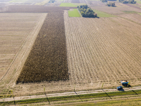 A car crossing a country road, off-road aerial view of a car traveling on a dirt road through the fields. Travelingの写真素材