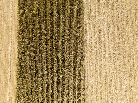 Nature and landscape: Aerial view of a field, cultivation, plowed field, countryside, farmingの写真素材