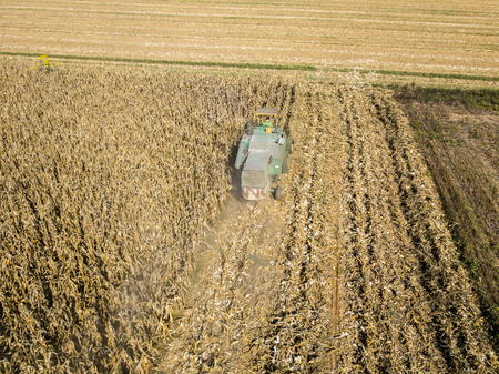 Combine harvesting seed from fields, aerial view of a field with a combine harvester with cornhusker gathering the crop. Agriculture and cultivation, cuttings, corn threshing, fields in the countrysideの写真素材
