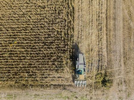 Combine harvesting seed from fields, aerial view of a field with a combine harvester with cornhusker gathering the crop. Agriculture and cultivation, cuttings, corn threshing, fields in the countrysideの写真素材
