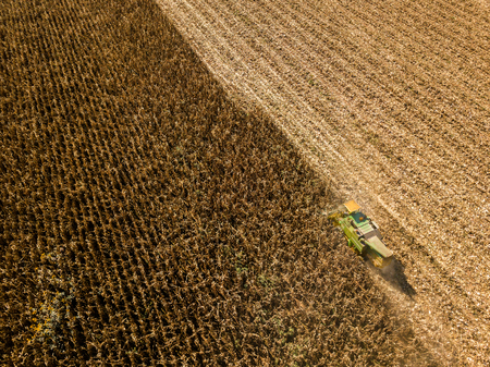 Combine harvesting seed from fields, aerial view of a field with a combine harvester with cornhusker gathering the crop. Agriculture and cultivation, cuttings, corn threshing, fields in the countrysideの写真素材